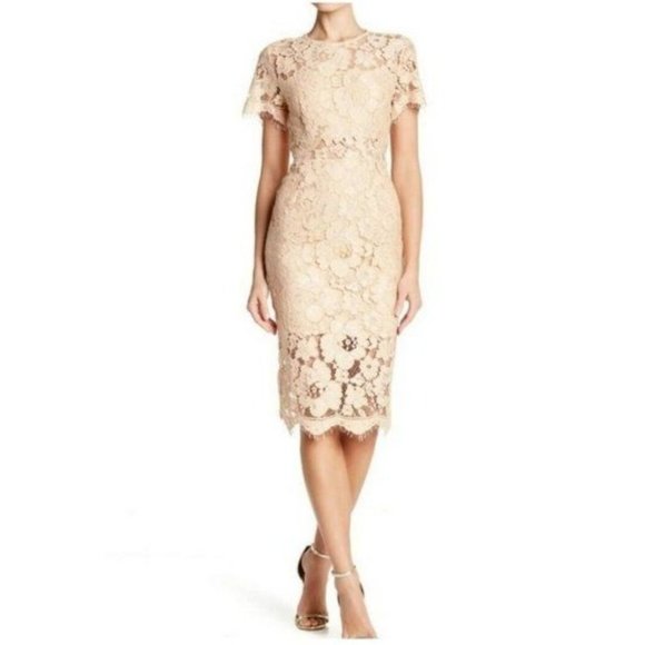 NSR Dresses & Skirts - NWT NSR Short Sleeve Lace Sheath Midi Dress Beige Medium